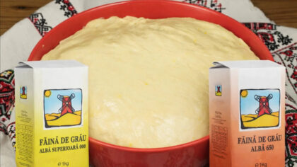 Diferenta dintre faina 650 si...