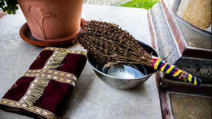 Ce pret are o sfestanie...